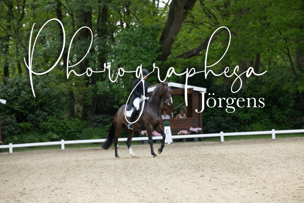 IMG_8475 | photographesa-joergens - Realisiert mit Pictrs.com