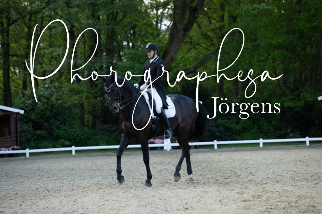 IMG_9375 | photographesa-joergens - Realisiert mit Pictrs.com