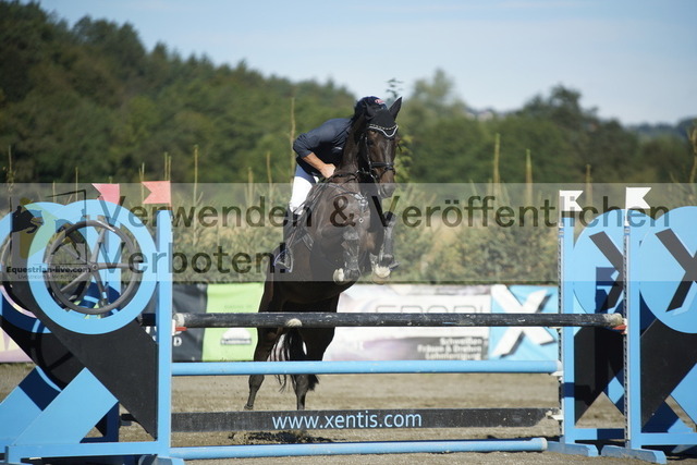 _DSC3837 | equestrian-live-com