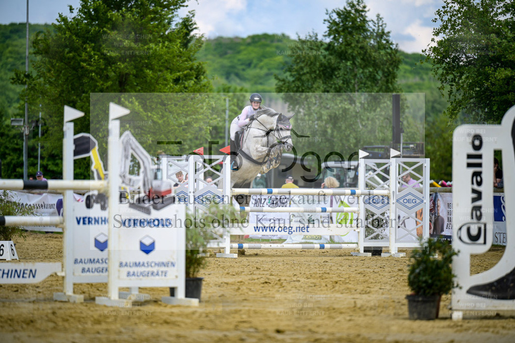 Reitturnier Lienen | Bilder aus dem Reitsport by Foto Oger - Domenic Schlinge - Realisiert mit Pictrs.com