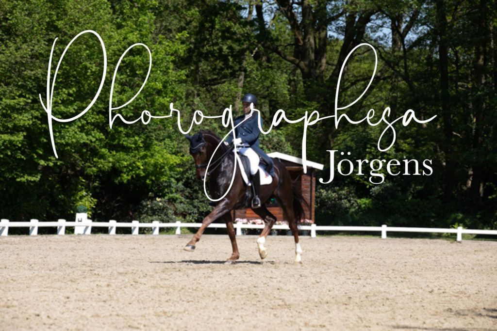 IMG_4060 | photographesa-joergens - Realisiert mit Pictrs.com