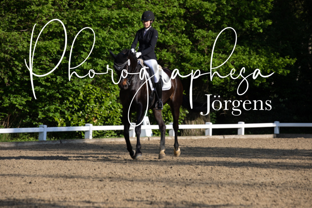 IMG_2430 | photographesa-joergens - Realisiert mit Pictrs.com