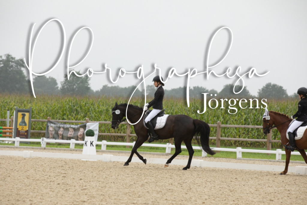 IMG_0798 | photographesa-joergens - Realisiert mit Pictrs.com