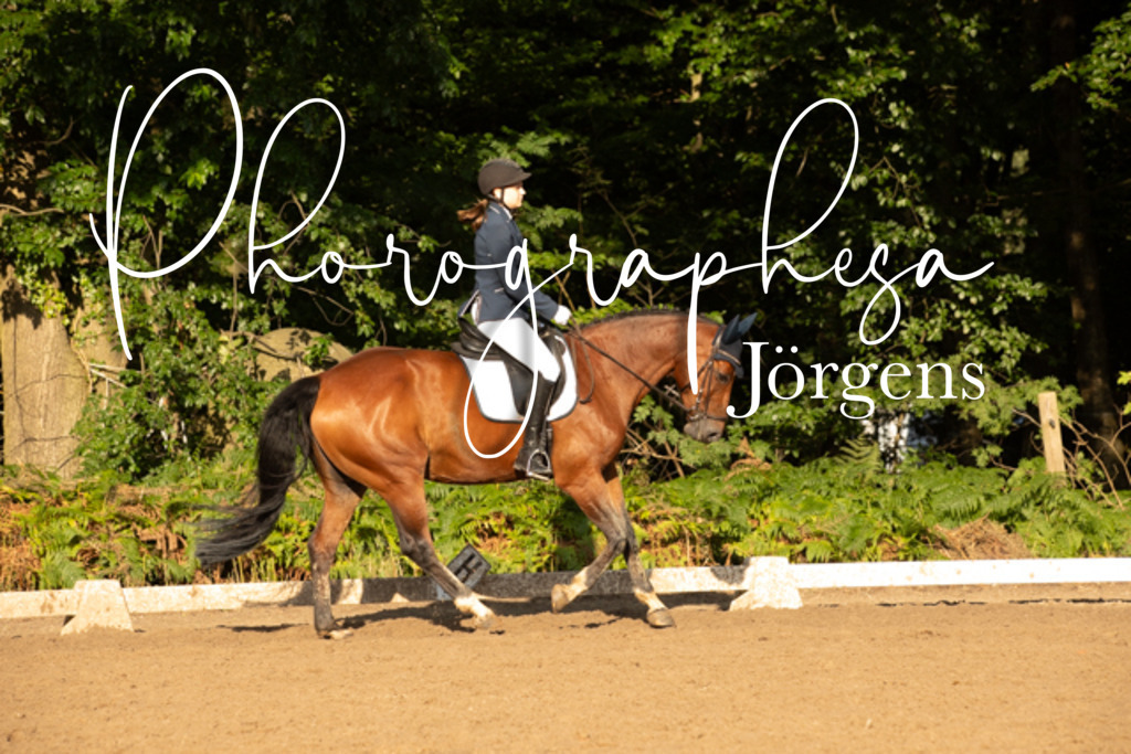 IMG_1370 | photographesa-joergens - Realisiert mit Pictrs.com