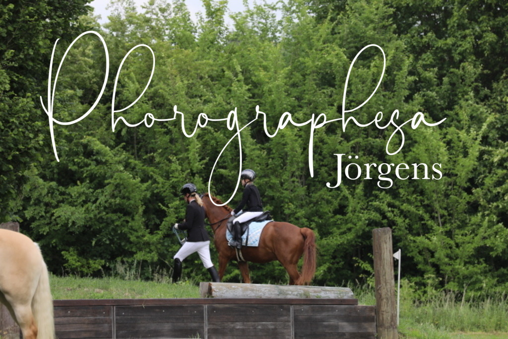 IMG_1598 | photographesa-joergens - Realisiert mit Pictrs.com