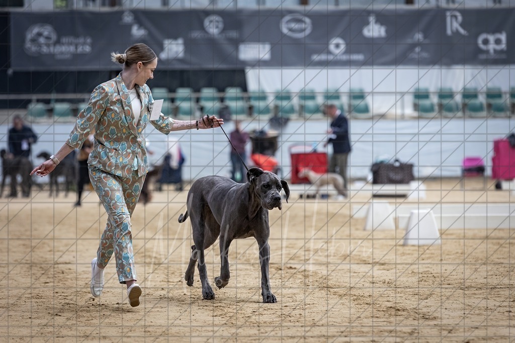 DS - Best in Show_0006 | Markus Heber Photography