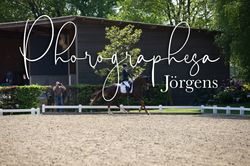 IMG_8863 | photographesa-joergens - Realisiert mit Pictrs.com