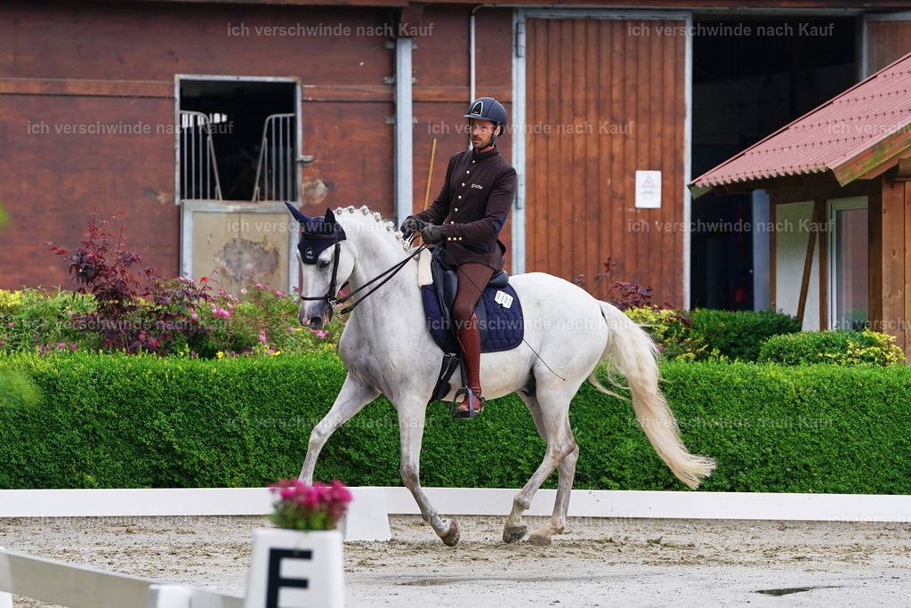 530-132-Dressur-L-MarixxM | working equitationturnier fotograf videograf stoibphotography marixx film working equitation deutschland reitsport turnierfotografie eventfotografie equestrian events