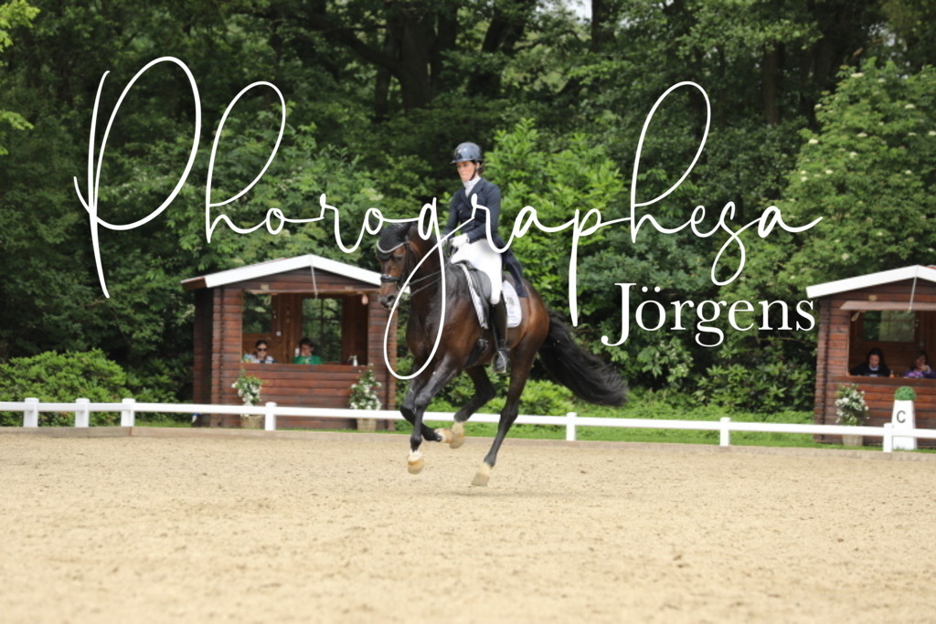 IMG_0931 | photographesa-joergens - Realisiert mit Pictrs.com