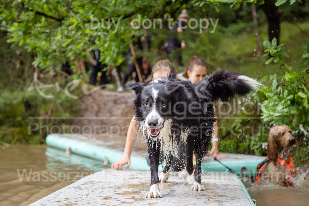 FM6A4711 | Herzlich Willkommen im Onlineshop von tierische Augenblicke.
Viel Spaß beim aussuchen ihrer Bilder und vielen Dank für ihren Einkauf.
Viele Grüße, ihr Fotograf Stefan Grube