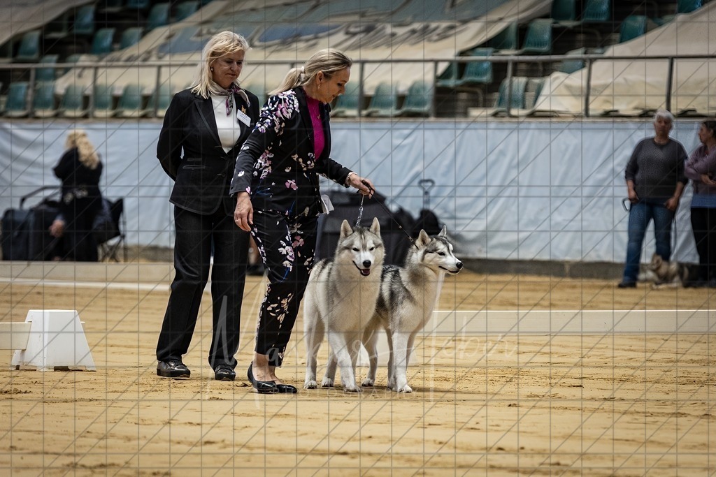 DS - Paarklasse_0071 | Markus Heber Photography