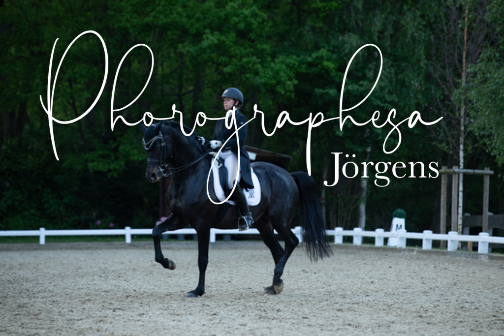 IMG_9740 | photographesa-joergens - Realisiert mit Pictrs.com