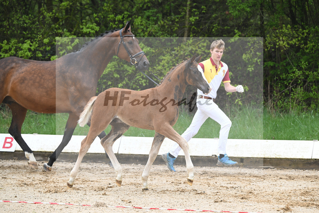Kat-Nr. 5 HF Iron_Reglauer_9230060 | hf-fotografie - Realisiert mit Pictrs.com