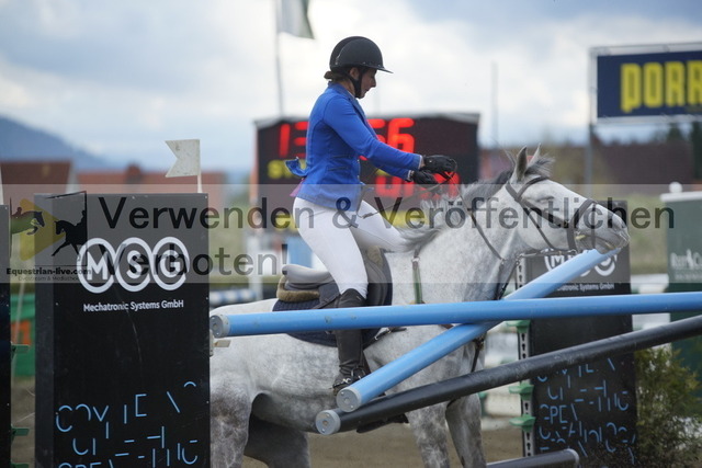 _DSC8237 | equestrian-live-com