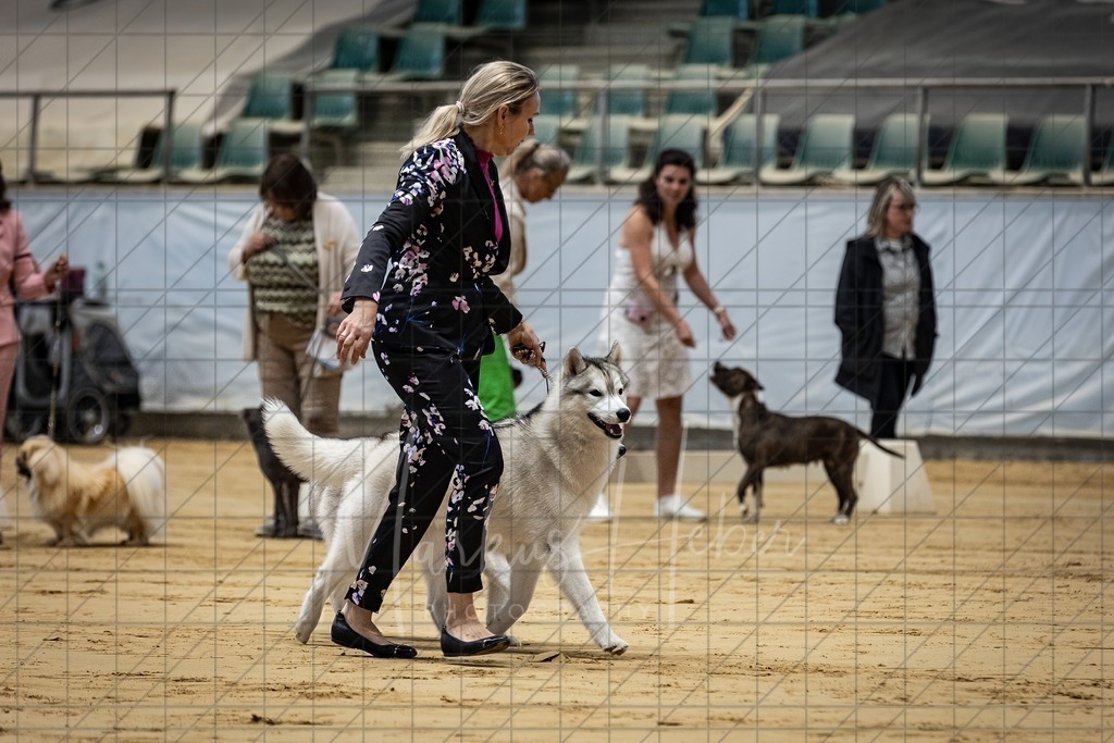 DS - Paarklasse_0073 | Markus Heber Photography