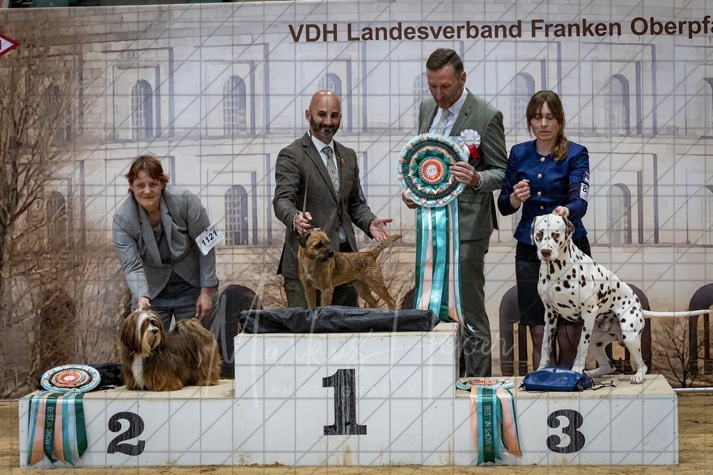 DS - Best in Show_0034 | Markus Heber Photography