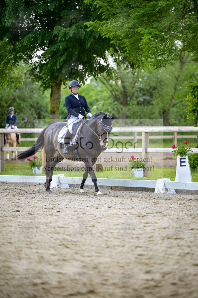 Reitturnier Lienen | Bilder aus dem Reitsport by Foto Oger - Domenic Schlinge - Realisiert mit Pictrs.com