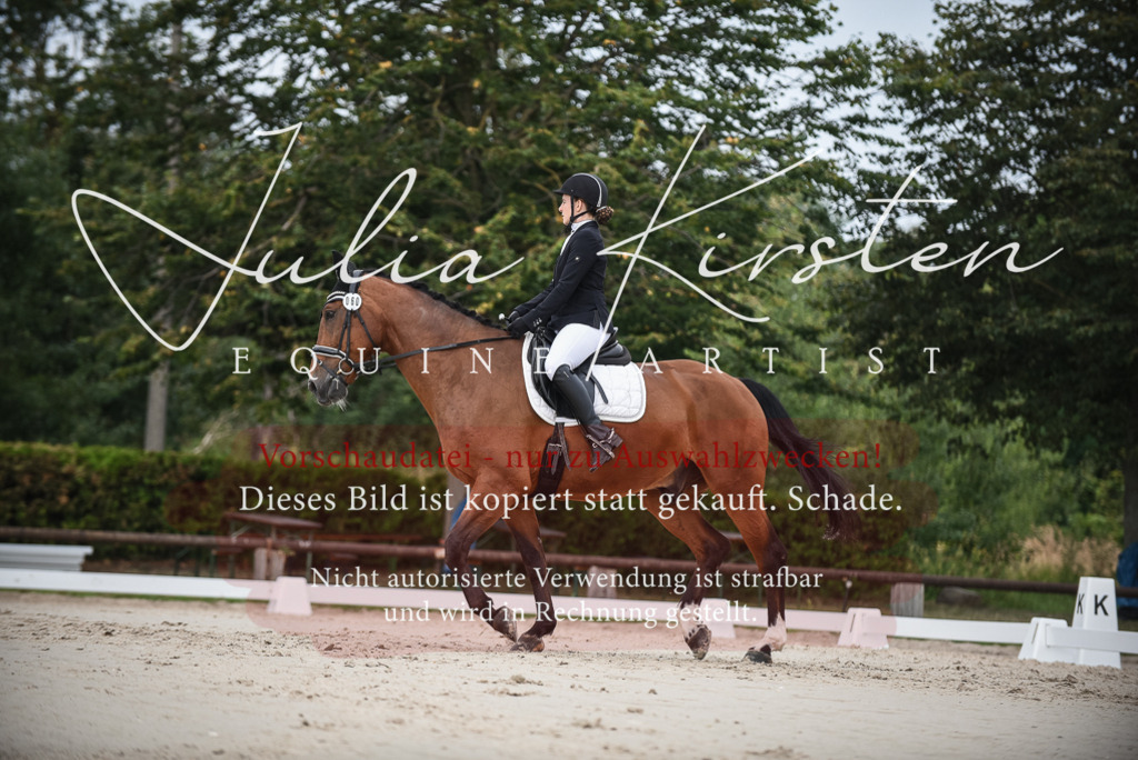 DSC_8073 | Pferde- und Turnierfotografie in Westsachsen. Pferdeportraits, Auftragszeichnungen und intuitive Kunst.