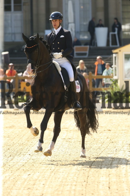 Ludwigsburg_2022_Prfg.Nr.03_FEI Grand Prix_Benjamin Werndl__Daliy mirror 9 (19) | Alle Fotos der Reiterjournal Fotografin Doris Matthaes im Reiterjournal Online-Fotoshop. - Realisiert mit Pictrs.com